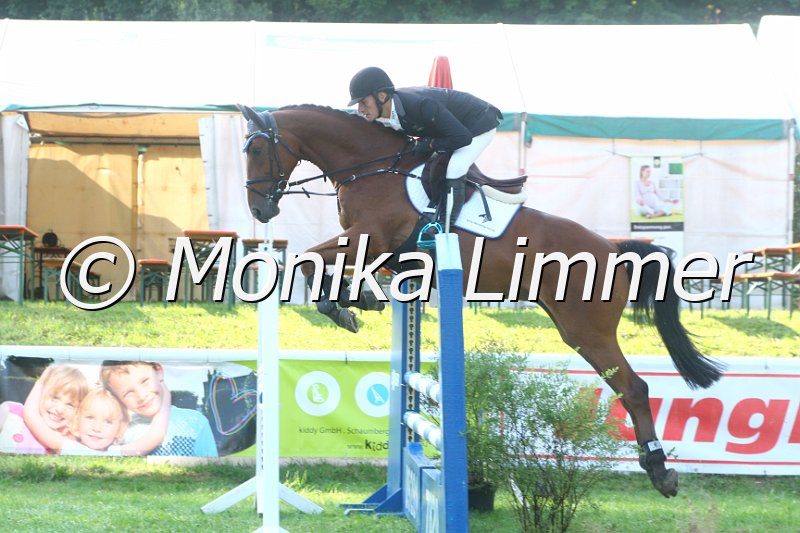 308M9223_Quickett_Springpferde A.JPG